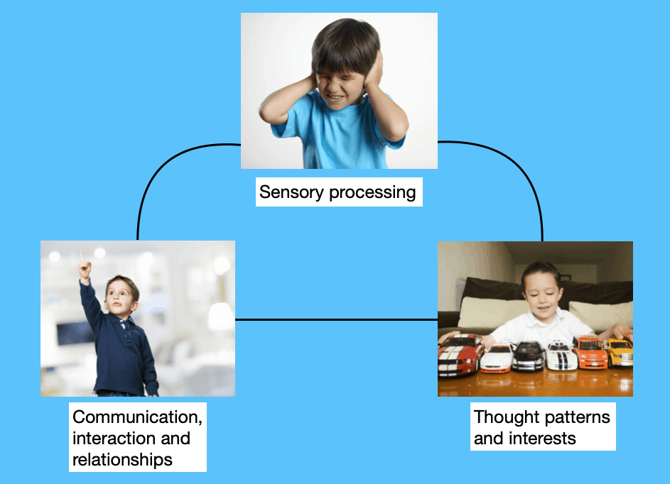 What is Autism Autism Spectrum Teacher